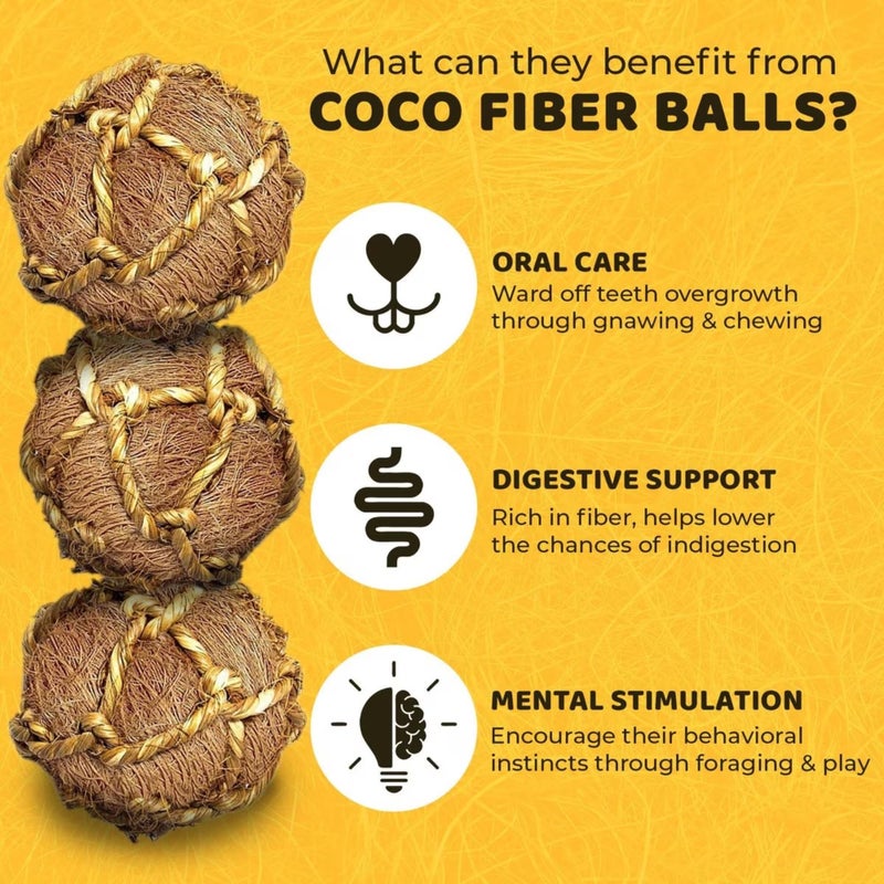SunGrow Guinea Pig Coconut Fiber Balls, Improves Oral Wellness, Environment Friendly, Stress Reliever, Ideal for Chew Item for Rabbits, Chinchilla & Kitten (3 Pieces) - Image 3